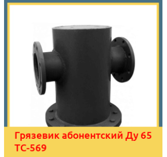 Грязевик абонентский Ду 65 ТС-569 в Кызылорде