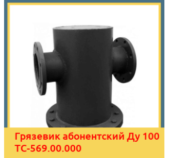 Грязевик абонентский Ду 100 ТС-569.00.000 в Кызылорде