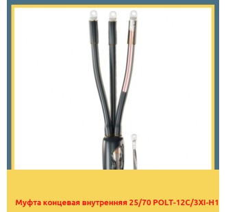Муфта концевая внутренняя 25/70 POLT-12C/3XI-H1 в Кызылорде