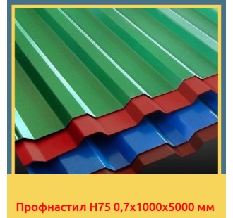 Профнастил H75 0,7x1000x5000 мм в Кызылорде