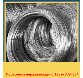 Проволока нержавеющая 0,12 мм AISI 304 в Кызылорде