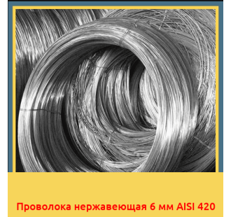Проволока нержавеющая 6 мм AISI 420 в Кызылорде