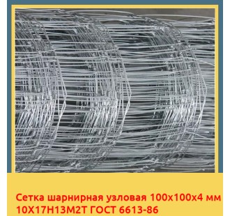 Сетка шарнирная узловая 100х100х4 мм 10Х17Н13М2Т ГОСТ 6613-86 в Кызылорде