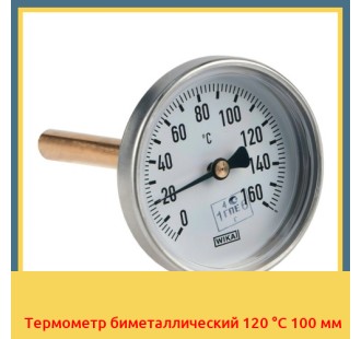 Термометр биметаллический 120 °С 100 мм в Кызылорде