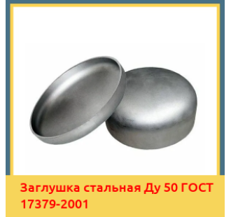Заглушка стальная Ду 50 ГОСТ 17379-2001 в Кызылорде