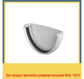 Заглушка желоба универсальная RAL 1017 в Кызылорде